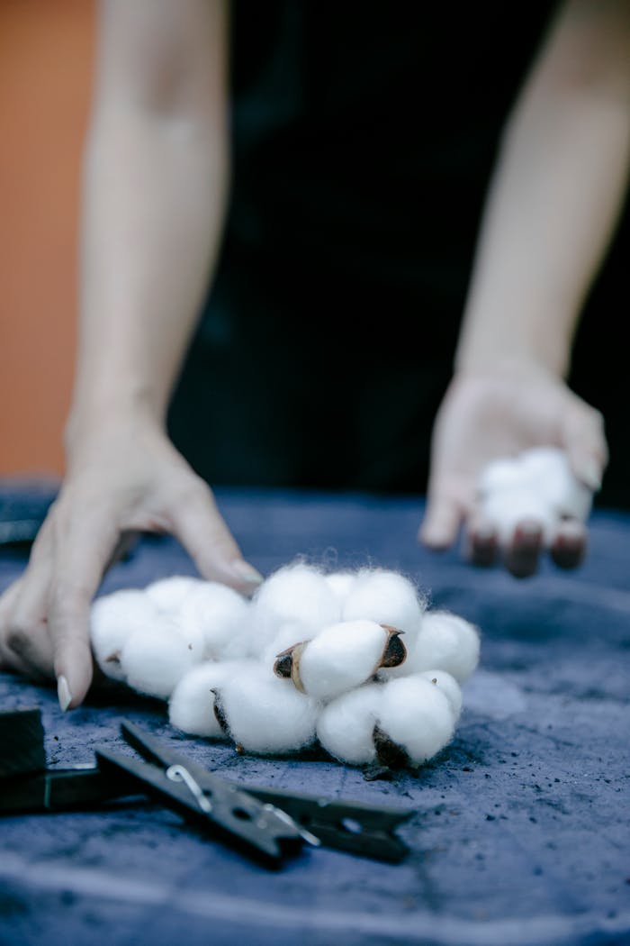 Close-up of hands holding cotton balls on a blue fabric background, emphasizing texture and softness.